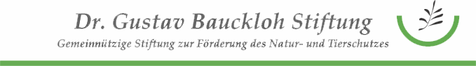 Logo Dr. Gustav Bauckloh Stiftung